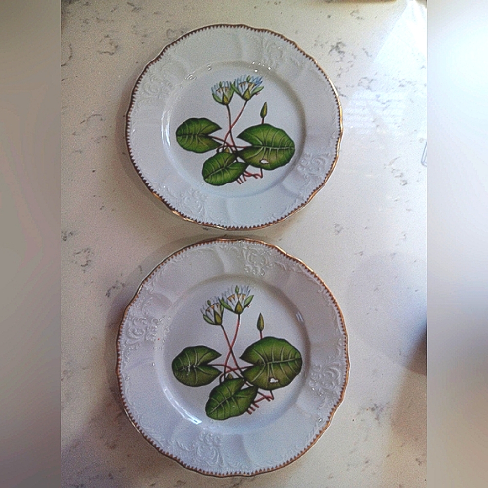 Anna Weatherley salad plate
